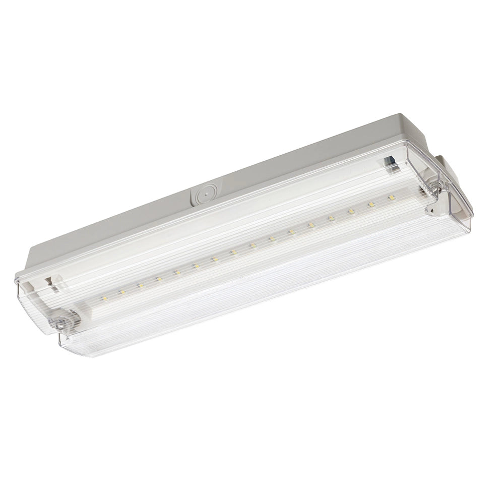 Red Arrow VAN/3 3W 6500k IP66 Emergency LED Bulkhead w/ Legends